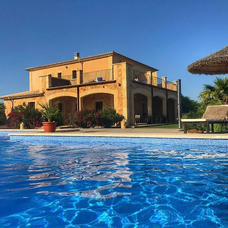Alegria - Son Sampoli 4*